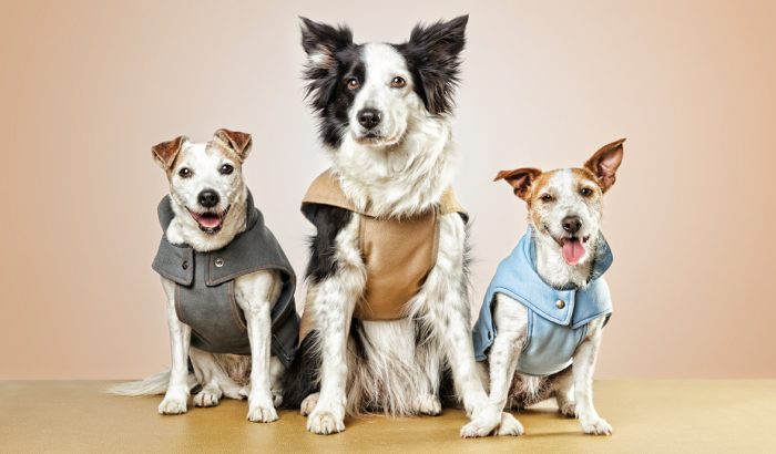 HEY_PUPPIES_upcycled-line